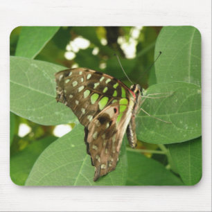 Tropische Iridescent Green Butterfly Mousepad Muismat