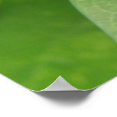 Tropische Iridescent Green Butterfly Print (Hoek)