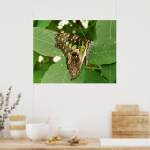 Tropische Iridescent Green Butterfly Print (Keuken)