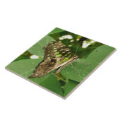 Tropische Iridescent Green Butterfly Tile Tegeltje (Zijkant)