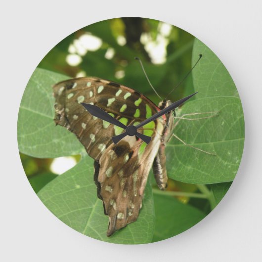Tropische Iridescent Green Butterfly Wall klok (Voorkant)
