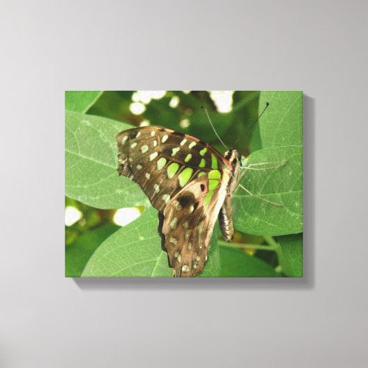 Tropische iriserende groene vlinder canvasprint canvas afdruk (Voorkant)