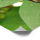 Tropische Iriserende Groene Vlinderprint Poster (Hoek)