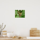 Tropische Iriserende Groene Vlinderprint Poster (Keuken)