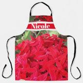 TROPISCHE IXORA SCHORT (Voorkant)