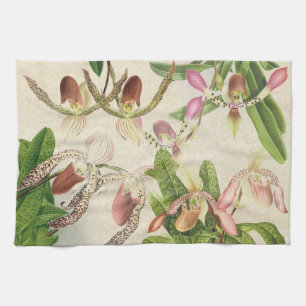 Tropische juffrouw Slipper Orchid Floral Flowers T Theedoek