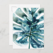 Tropische juwepalm briefkaart (Voorkant / Achterkant)