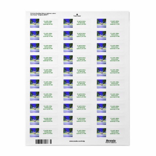 Tropische kerstdolfijn etiket (Full Sheet)