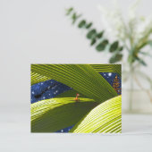 Tropische Kerstmis van een van de Gekko Hagedis Feestdagenkaart (Staand voorkant)