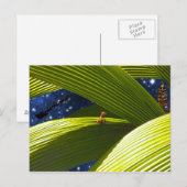 Tropische Kerstmis van een van de Gekko Hagedis Feestdagenkaart (Voorkant / Achterkant)