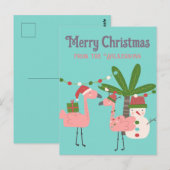Tropische kerstroze flamingos op Blauwgroen Briefkaart (Voorkant / Achterkant)
