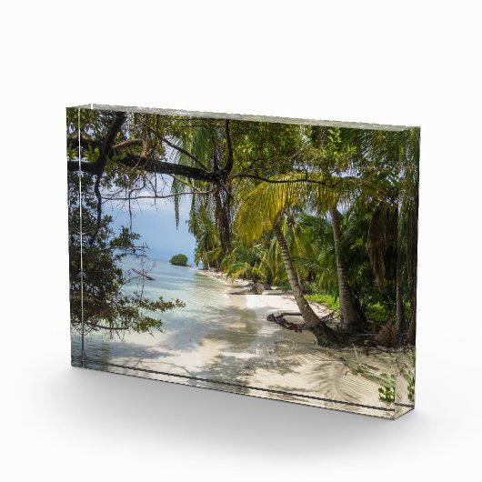 Tropische kever fotoblokken (Rechts)