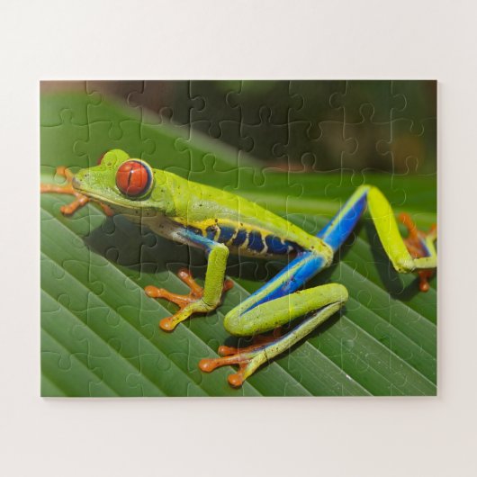 Tropische kikker legpuzzel (Horizontaal)