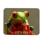 Tropische kikker met rode ogen in Costa Rica Magneet (Horizontaal)
