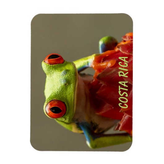Tropische kikker met rode ogen in Costa Rica Magneet (Verticaal)