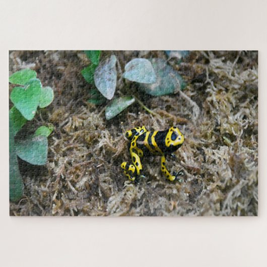 Tropische kikkers. Jigzaag Puzzle Legpuzzel (Horizontaal)