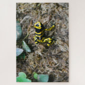Tropische kikkers. Jigzaag Puzzle Legpuzzel (Verticaal)