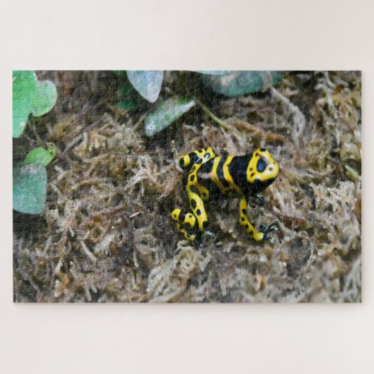 Tropische Kikkers. Legpuzzel (Horizontaal)