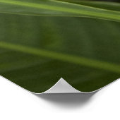 Tropische kleur poster (Hoek)