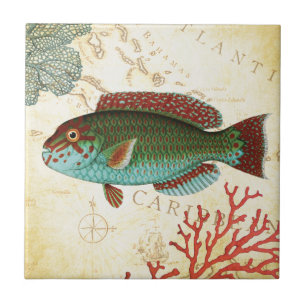 Tropische, kleurrijke Caribische vis en koraal Tegeltje