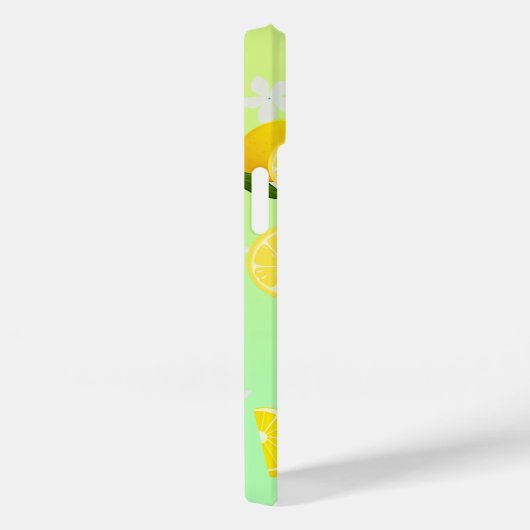 Tropische kleurrijke Citrus ZOMER Sinaasappel citr Case-Mate iPhone Case (Achterkant / Rechts)