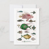 Tropische kleurrijke vissen RSVP kaartje (Voorkant)