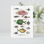 Tropische kleurrijke vissen RSVP kaartje (Staand voorkant)