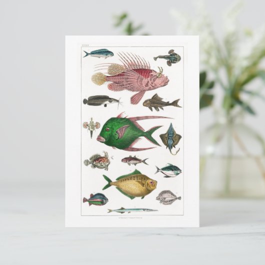 Tropische kleurrijke vissen RSVP kaartje (Staand voorkant)