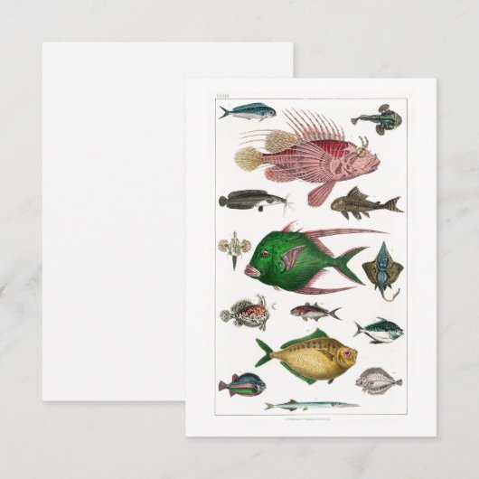 Tropische kleurrijke vissen RSVP kaartje (Voorkant / Achterkant)