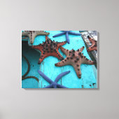 Tropische, kleurrijke zeester canvas afdruk (Voorkant)