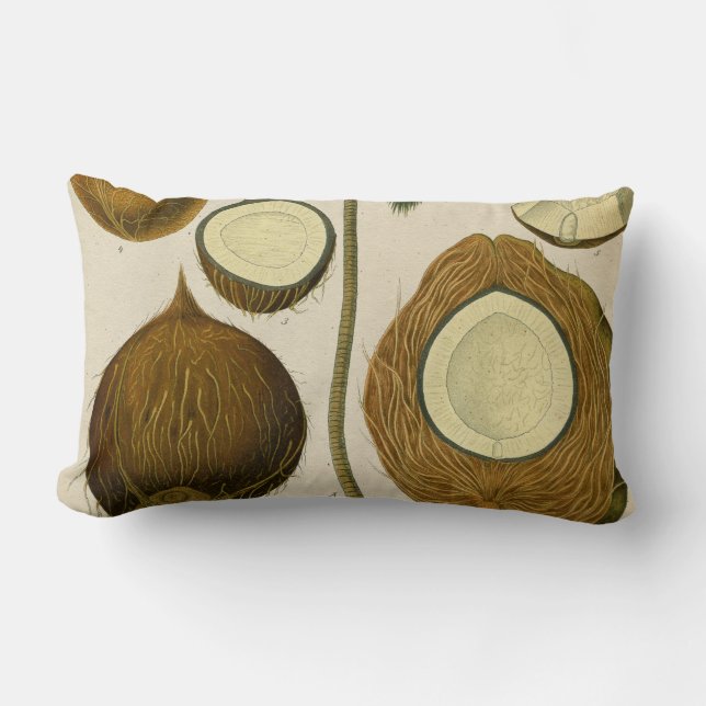  tropische kokokosnoot kussen (Voorkant)