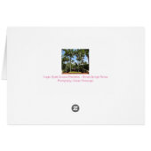 Tropische kokosnoot Plantation Bonita Springs Flor (Achterkant Horizontaal)