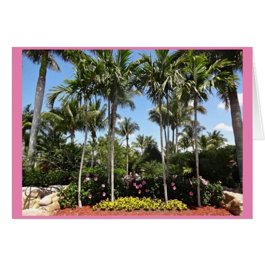 Tropische kokosnoot Plantation Bonita Springs Flor (Voorkant Horizontaal)