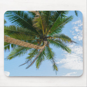Tropische Kokospalmboom Onder Blauwe Lucht Muismat