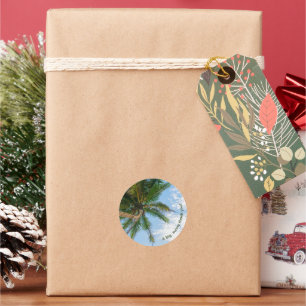 Tropische Kokospalmboom Onder Blauwe Lucht Ronde Sticker