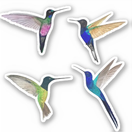 Tropische Kolibries Sticker (Voorkant)