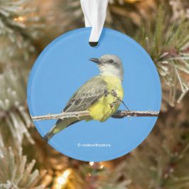 Tropische Koningsvliegenvanger op Braamstruik Ornament