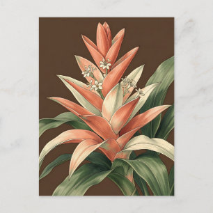 Tropische Koraal Bromelia Botanisch Briefkaart