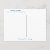 Tropische kust Seashell Holiday Kerstmis Briefkaart (Achterkant)