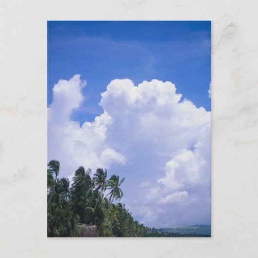 Tropische kustlijn briefkaart (Voorkant)