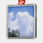 Tropische kustlijn metalen ornament (Links)