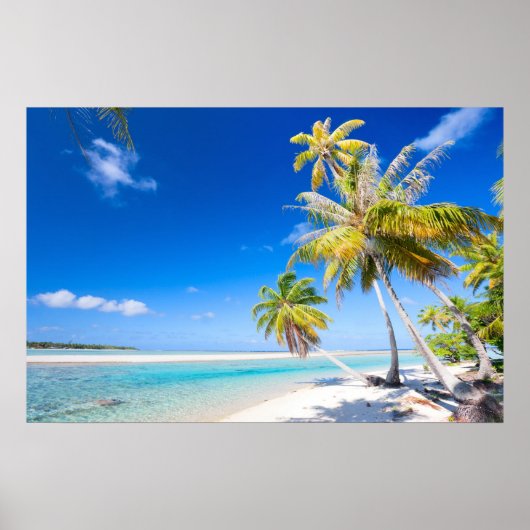 Tropische kustlijn poster (Voorkant)