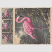 Tropische Lagune Roze Flamingo Decoupage Tissuepapier (Voorkant)