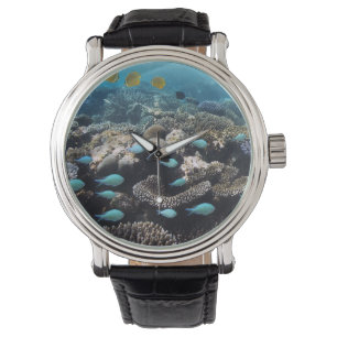 Tropische lagune South Ari Atoll Horloge