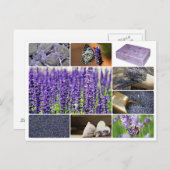 Tropische lavendel collage foto briefkaart (Voorkant / Achterkant)