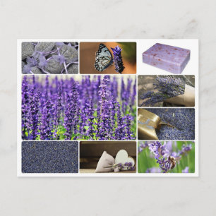 Tropische lavendel collage foto briefkaart