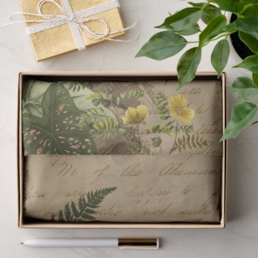 Tropische lekken en Toucan Ephemera Tissuepapier (Geschenk)