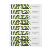 Tropische liefde / omloopadres (Vel)