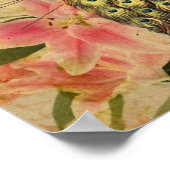 tropische lippenbloem  pauw poster (Hoek)