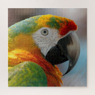 Tropische Macaw Parrot Legpuzzel